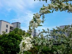 -江南大学(蠡湖校区)
