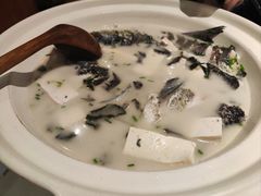 -老傅家湘潭水煮活鱼店(众一国际店)