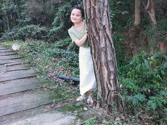 -铁山坪森林公园