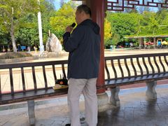 -洛龙公园