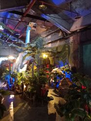 -恐龙探索乐园(磁器口店)