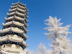 -黄椅山火山森林公园