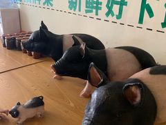 -小稻田辣椒炒肉(大浪商业中心店)