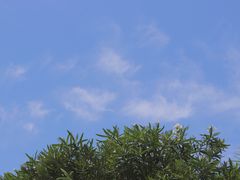 -东极岛景区