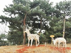 -北京西山国家森林公园