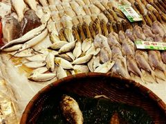 -御唐府海珊瑚主题餐厅