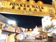-马六甲鸡场街