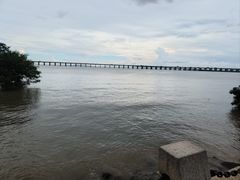 -宝安西湾红树林湿地公园