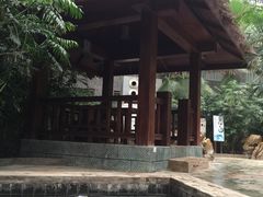 -龙达温泉生态城