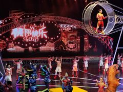 -重庆国际马戏城