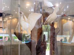 -下渚湖国家湿地公园科普馆