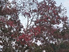 -艾溪湖湿地公园