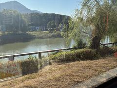 -百年老字号·观振兴蟹黄面·三虾面·苏式面(观前街富仁坊巷店)