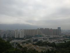 -金鸡山公园