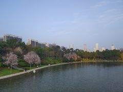 景点-天鹅湖体育公园