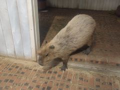 -南戴河国际娱乐中心