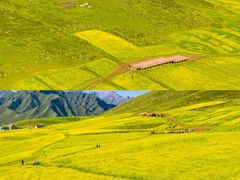 -扁都口生态休闲旅游区