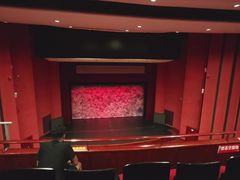 -合肥大剧院