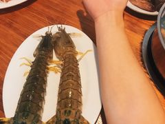 -凯华海鲜火锅·传承三十六年