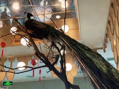 大堂-雀蓝川菜(奥体广场店)