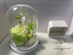 -LightOnly·培育钻石婚戒定制(天坛店)