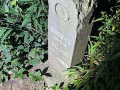 -梧桐山风景名胜区