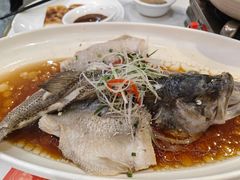 -刘胖子家常菜·蹄花焖藕(中南店)