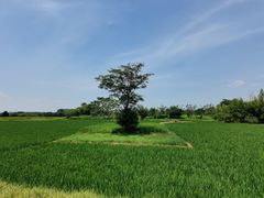 -良渚古城遗址公园