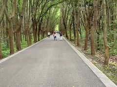 -苏州太湖湖滨国家湿地公园
