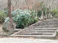 -南京市江宁方山