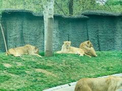 -北京野生动物园