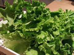 青爽生菜-新石器烤肉(之心城店)