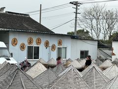 -苏州市吴中区光福窑上花果蜜饯厂