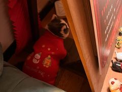 -布梵·台式热敷古法按摩Massage·Spa(品尊国际店)