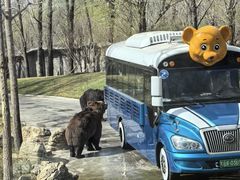 -合肥野生动物园
