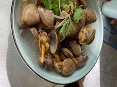 一桶黄蚬-渔娘渔家丹东海鲜(东直门店)