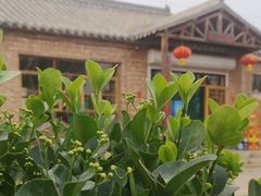 -白洋淀锅里口灶台鱼