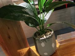 -梵猫·新养生(福州万象城店)