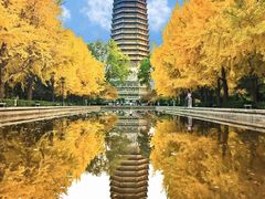 -玲珑塔公园