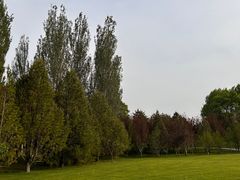 -北坞公园