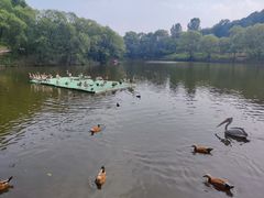 -沈阳森林动物园