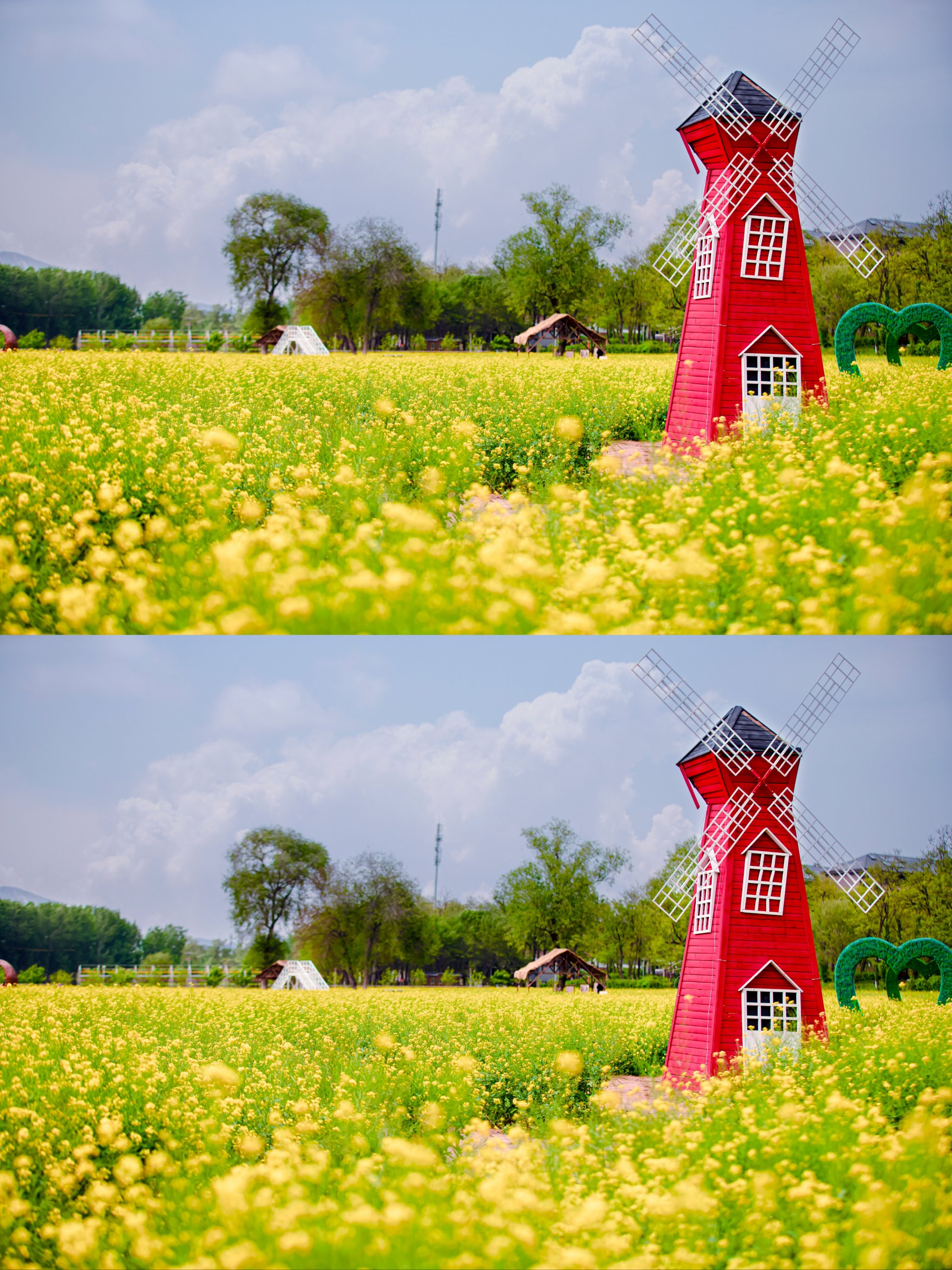 怪村油菜花门票图片