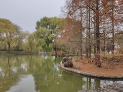 -洛阳市隋唐城遗址植物园