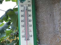 -马陆小张葡萄园农家乐