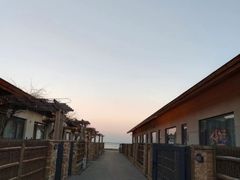 -渡海小渔村.老辈日照菜