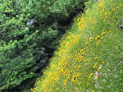 -西湖风景区-江洋畈生态公园