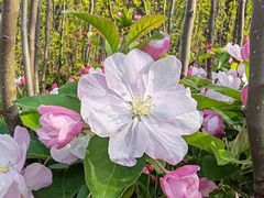 -石家庄正定国际机场-T2航站楼