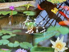 -国家植物园南园
