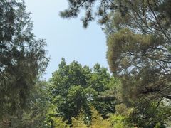 -北京鹫峰国家森林公园