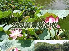 -荔湾湖公园